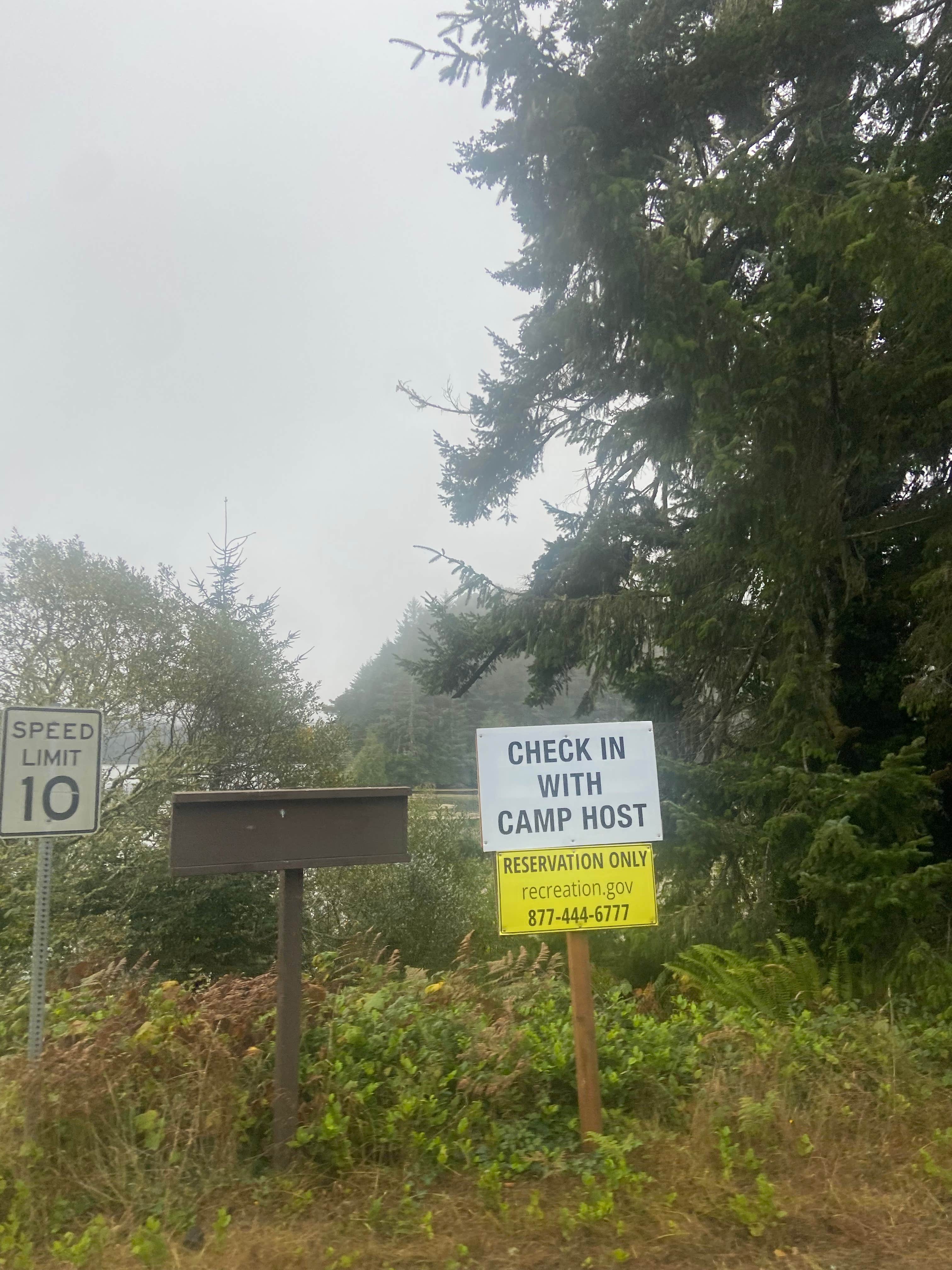 Camper submitted image from Siuslaw National Forest Tahkenitch Landing Campground - 5