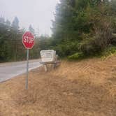 Review photo of Siuslaw National Forest Tahkenitch Landing Campground by Riley N., October 1, 2022