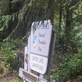 Review photo of Siuslaw National Forest Carter Lake Campground by Riley N., October 1, 2022