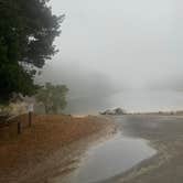 Review photo of Siuslaw National Forest Carter Lake Campground by Riley N., October 1, 2022