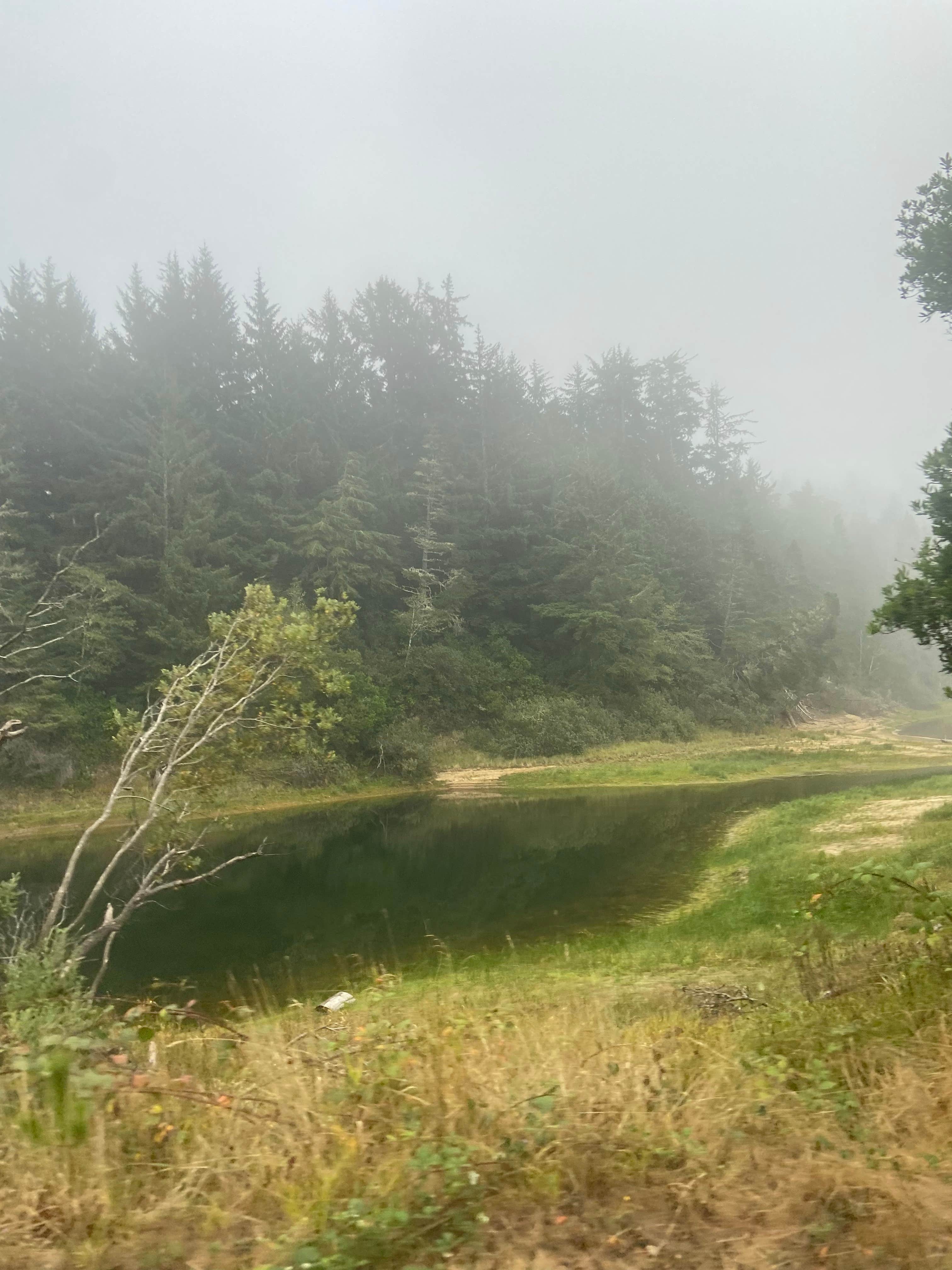 Camper-submitted photo at Siuslaw National Forest Carter Lake Campground near Gardiner, OR