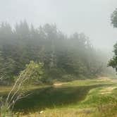 Review photo of Siuslaw National Forest Carter Lake Campground by Riley N., October 1, 2022