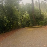 Review photo of Siuslaw National Forest Carter Lake Campground by Riley N., October 1, 2022