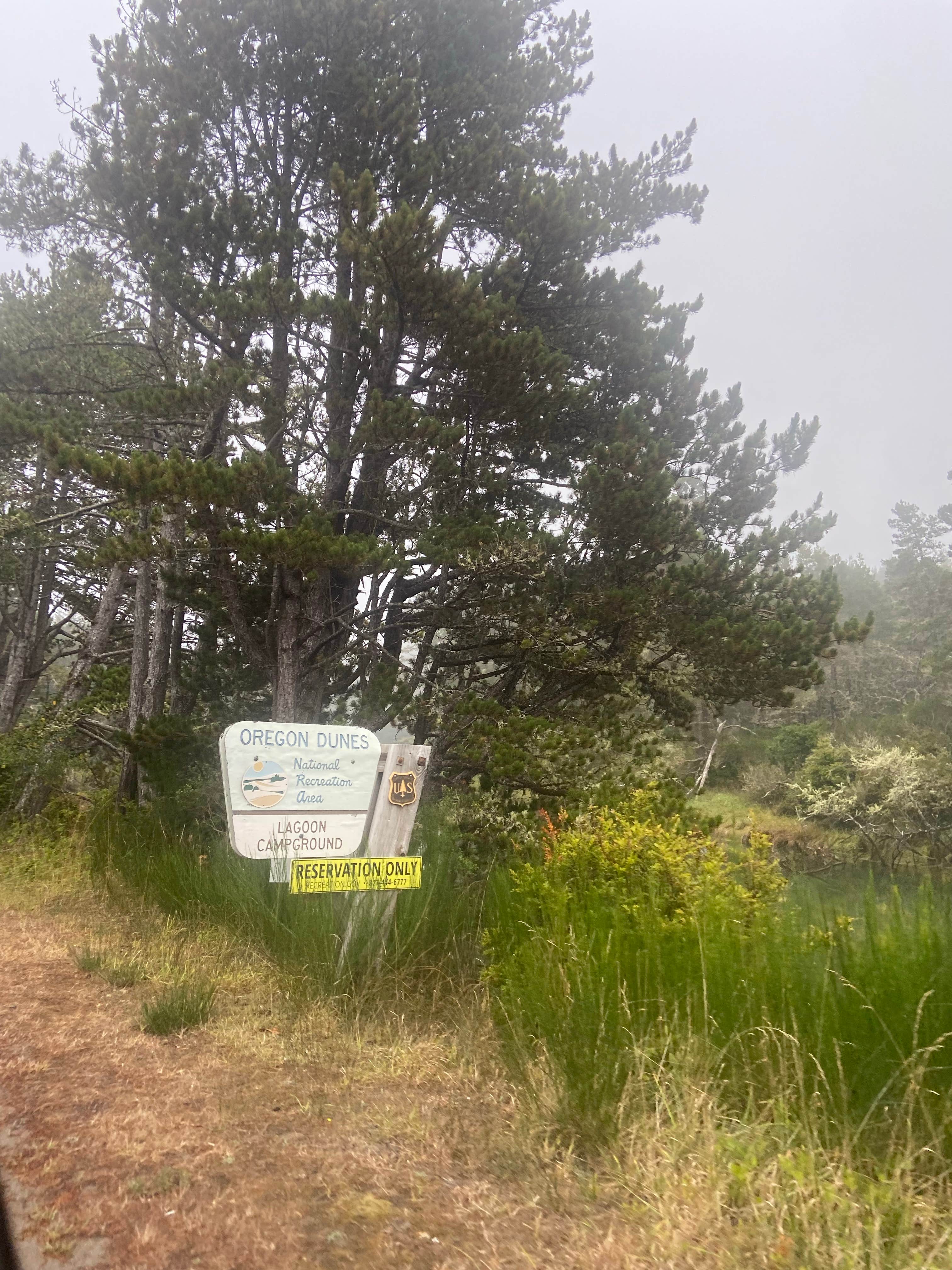 Camper-submitted photo at Lagoon Campground near Florence, OR