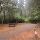 Review photo of Waxmyrtle Campground by Riley N., October 1, 2022