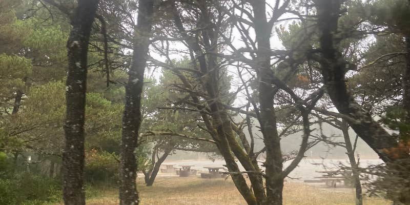 Camper submitted image from Driftwood II OHV Campground