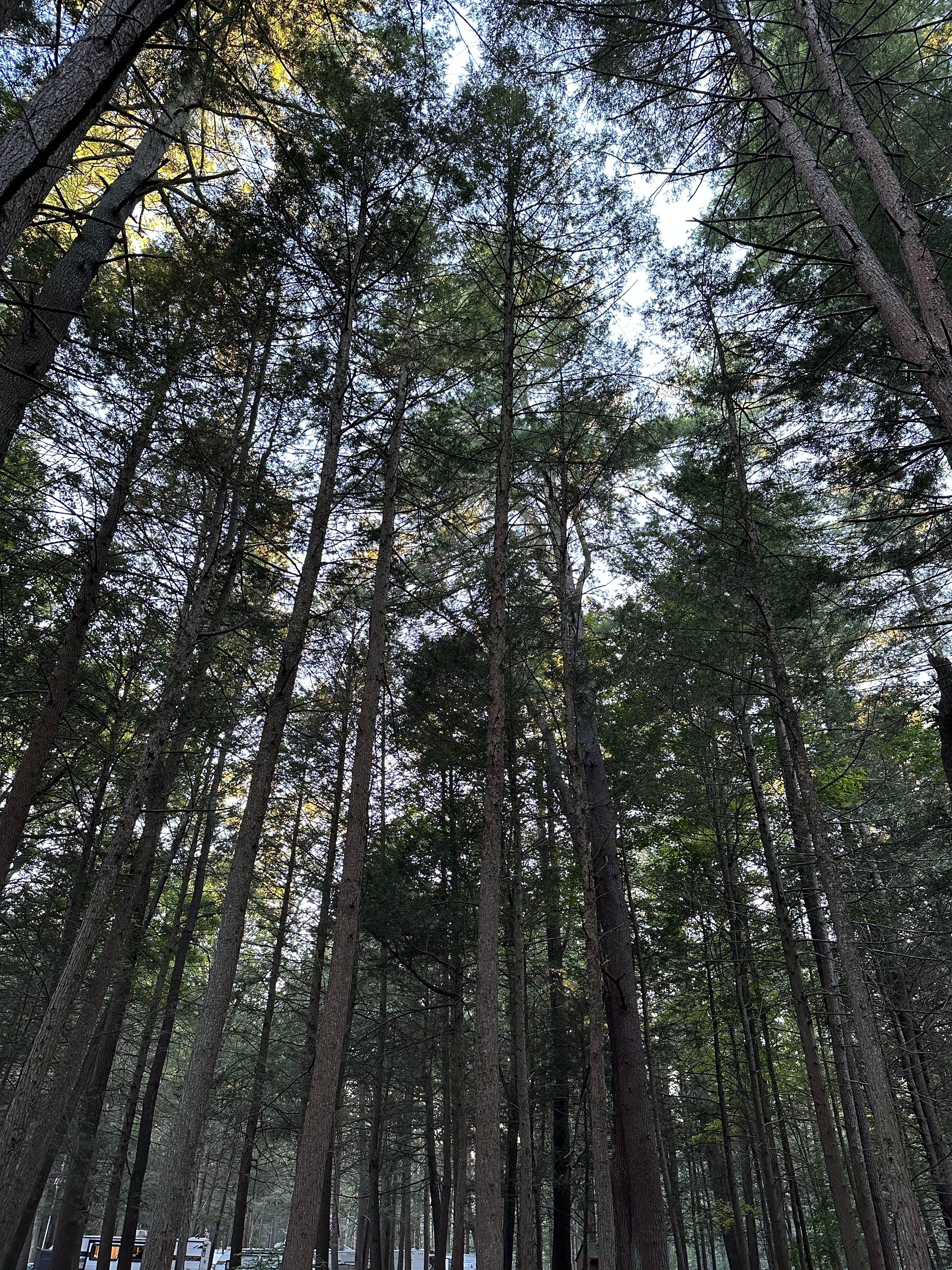 Camper-submitted photo at Korns Campgrounds near Pine Bush, NY