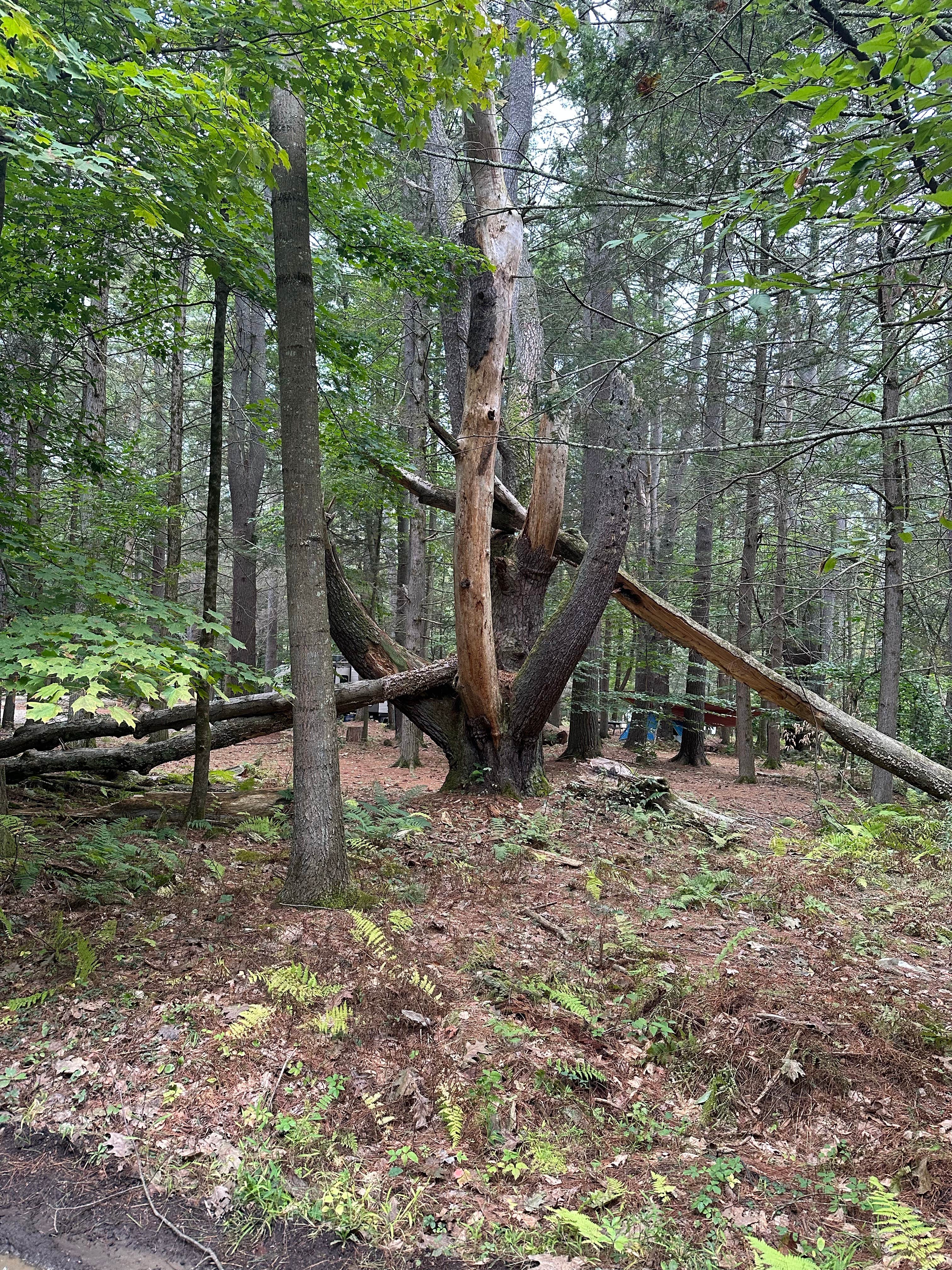 Camper-submitted photo at Korns Campgrounds near Pine Bush, NY