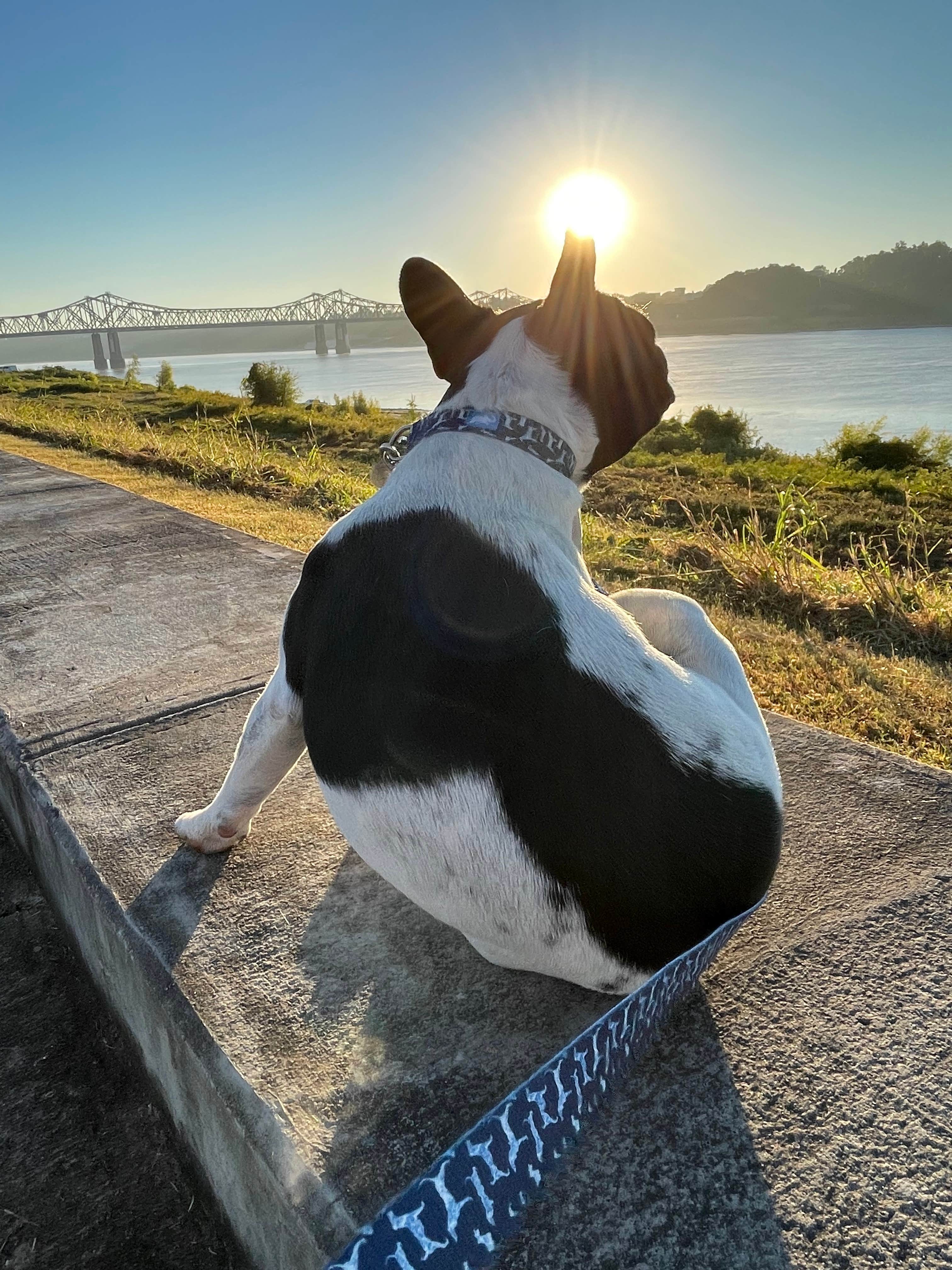Kenneth M.'s photo of camping with pets at River View RV Park & Resort near Gloster, MS
