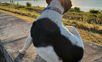 Kenneth M.'s photo of camping with pets at River View RV Park & Resort near Tunica, LA