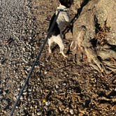 Review photo of River View RV Park & Resort by Kenneth M., October 1, 2022