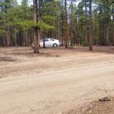 Review photo of Forest Road 130 by Davis B., October 1, 2022