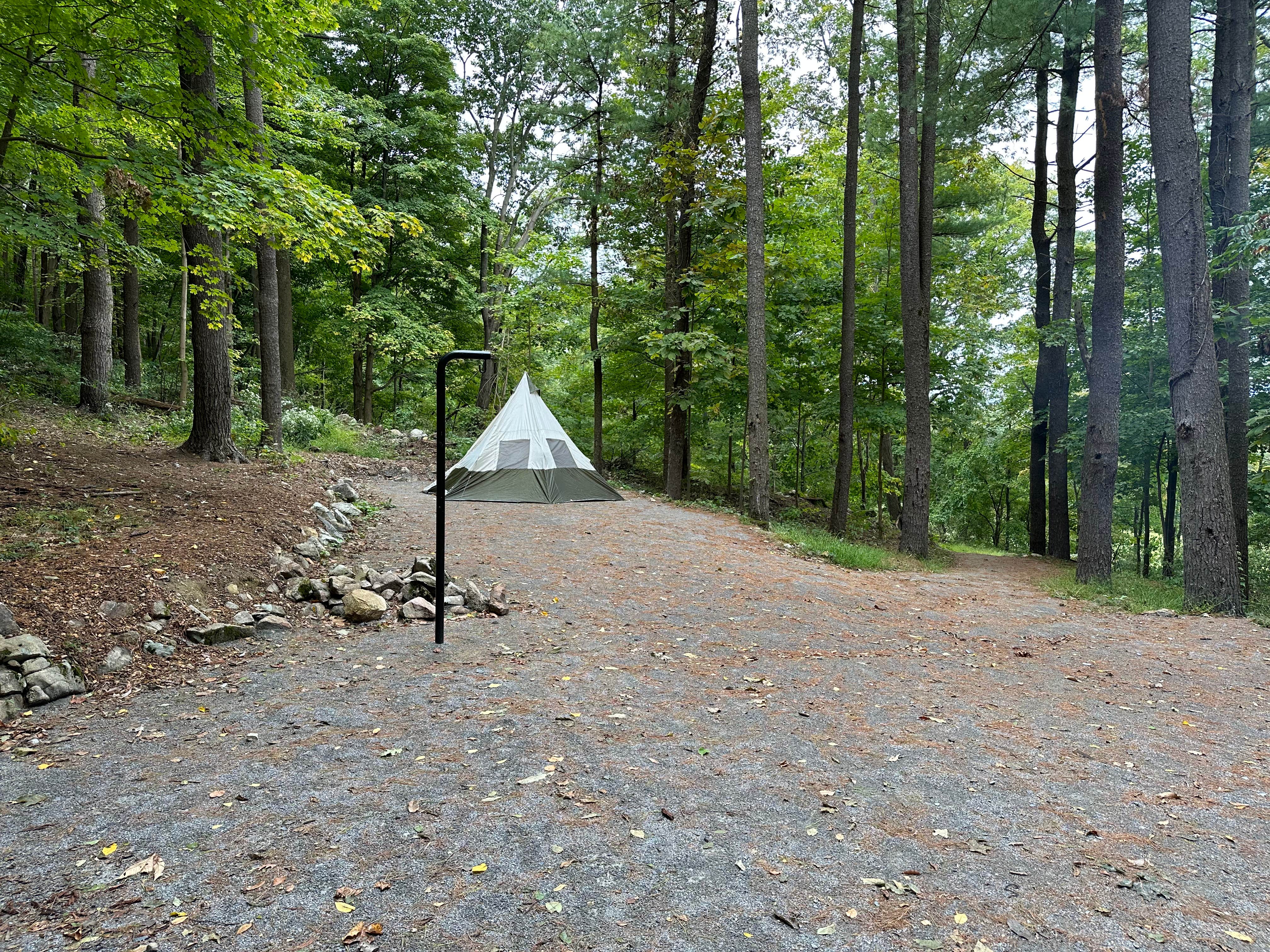 Jenny Jump State Forest Camping | Blairstown, NJ