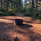 Review photo of Milo McIver State Park Campground by Gintare , October 1, 2022
