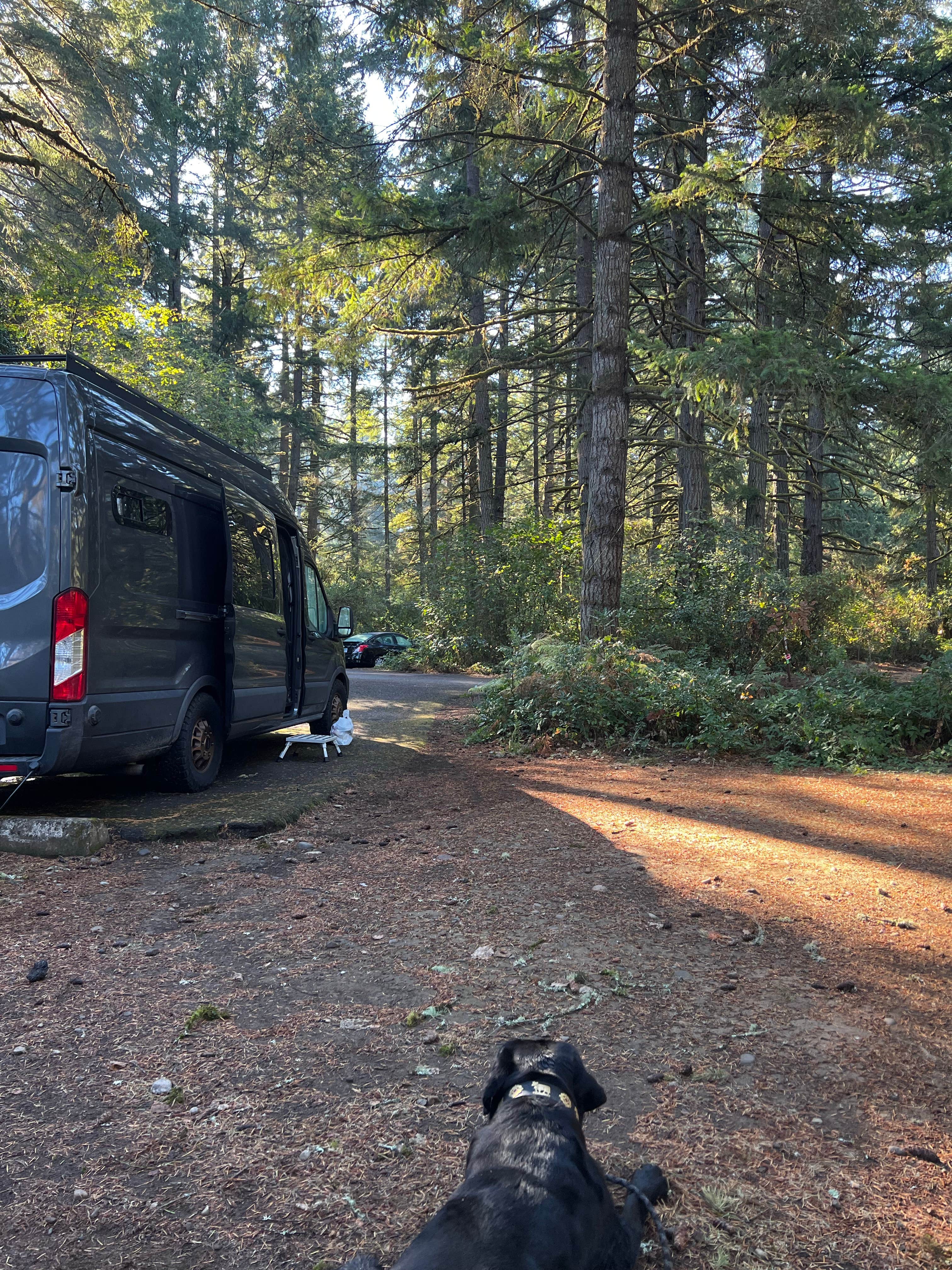 Gintare's photo of camping with pets at Milo McIver State Park Campground near Vancouver, WA