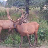Review photo of Estes Park Campground at Mary's Lake by Julian B., September 4, 2018
