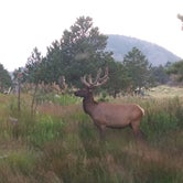 Review photo of Estes Park Campground at Mary's Lake by Julian B., September 4, 2018