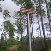 Review photo of Hontoon Island State Park Campground by Ellen E., August 5, 2016