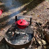 Review photo of Peaks Of Otter Campground — Blue Ridge Parkway by Brittany V., October 1, 2022