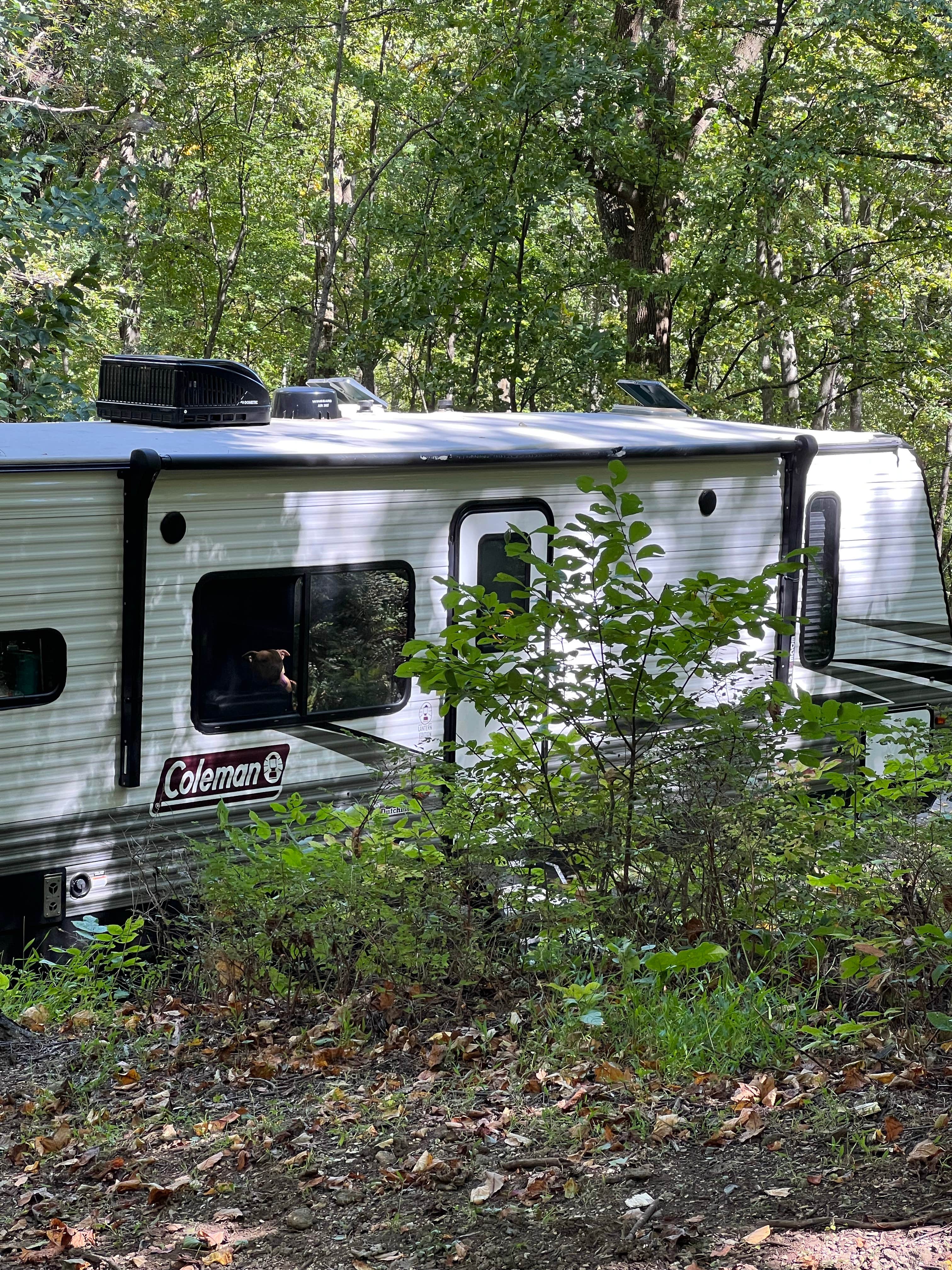 Camper-submitted photo at Peaks Of Otter Campground — Blue Ridge Parkway near Buchanan, VA