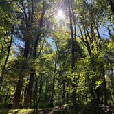 Review photo of Peaks Of Otter Campground — Blue Ridge Parkway by Brittany V., October 1, 2022