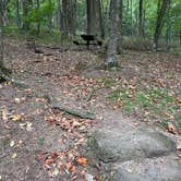 Review photo of Peaks Of Otter Campground — Blue Ridge Parkway by Brittany V., October 1, 2022