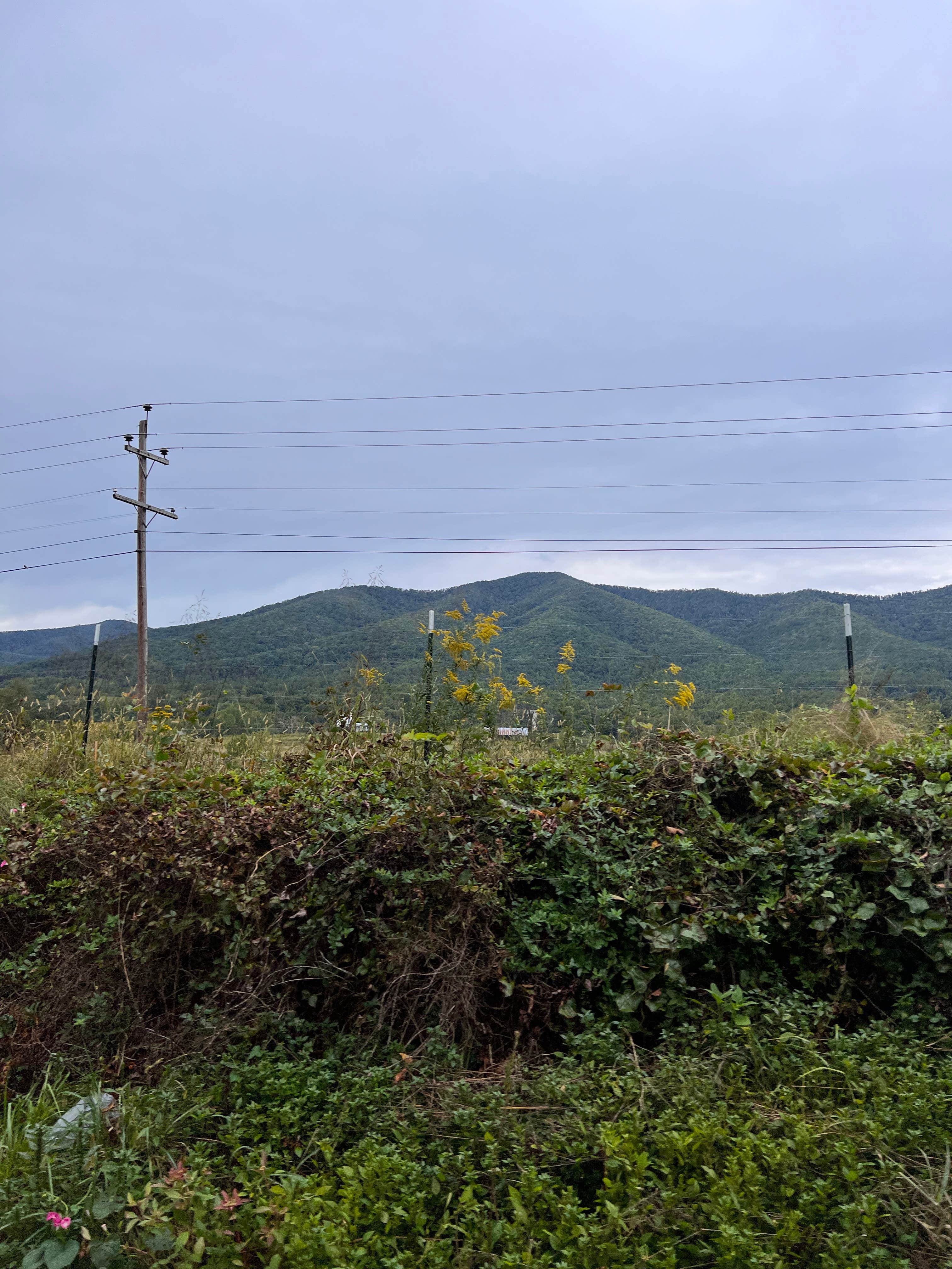 Camper-submitted photo at Peaks Of Otter Campground — Blue Ridge Parkway near Buchanan, VA