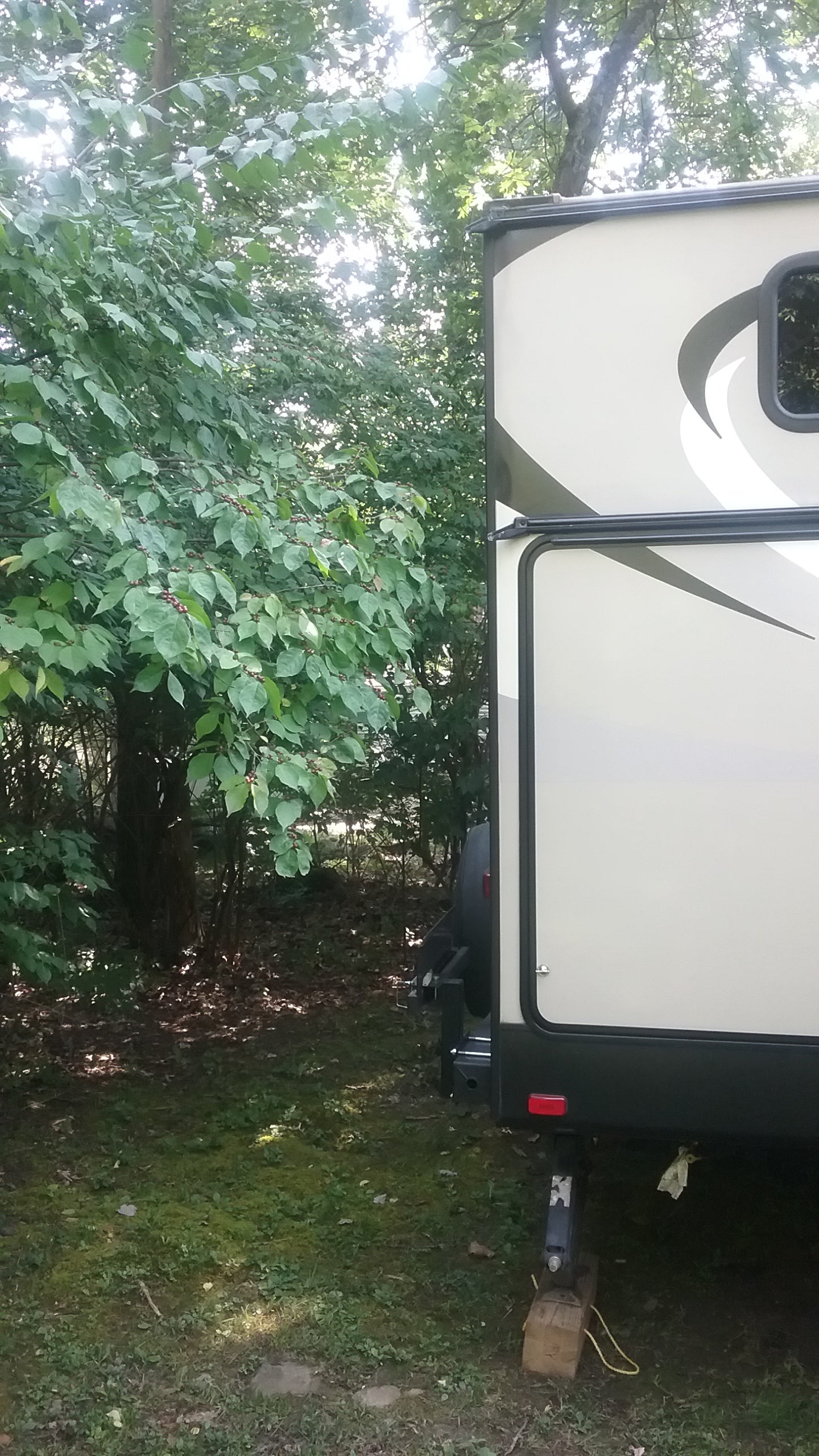 Camper submitted image from Bellefonte-State College KOA - 2