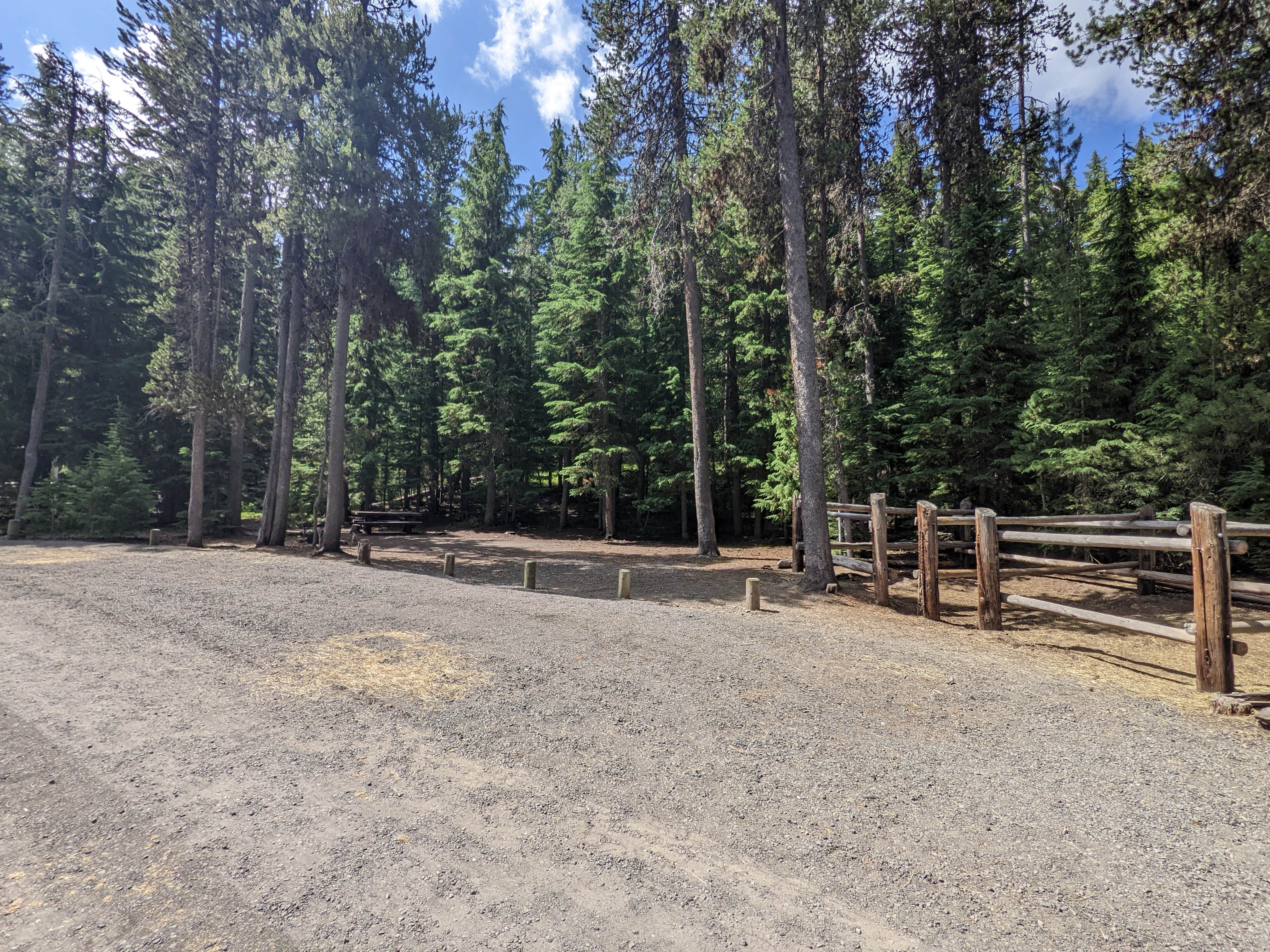 Camper submitted image from Chief Paulina Horse Camp - 2