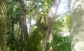 Ellen E.'s photo at Hontoon Island State Park Campground near Orange City, FL