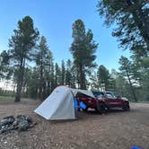 Review photo of Pumphouse Wash (FR 237) Dispersed Camping Area by Melisa N., October 2, 2022