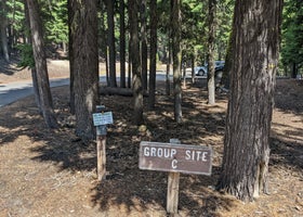 Newberry Group Camp Site
