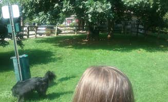 Gayle B.'s photo of camping with pets at Bellefonte-State College KOA near Snow Shoe, PA