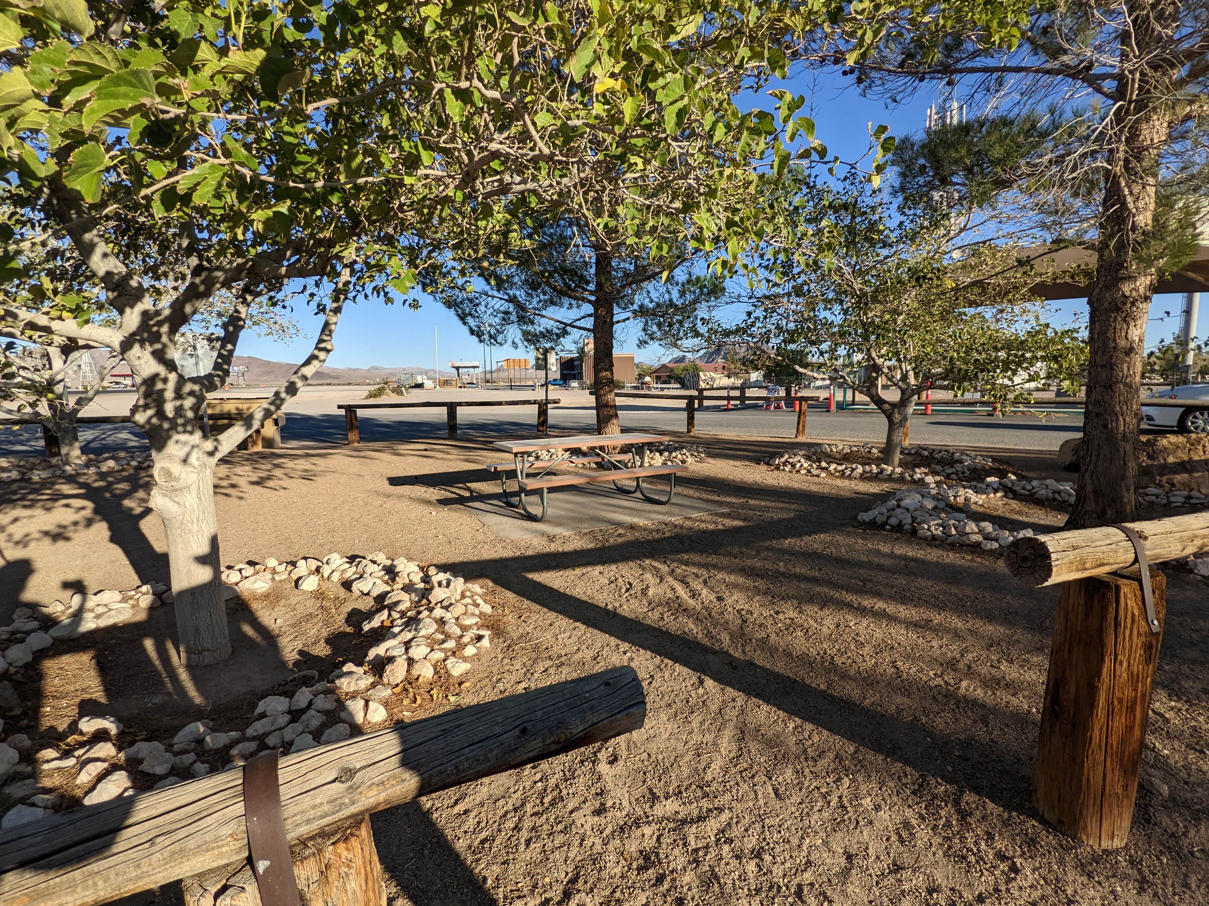 Camper submitted image from Amargosa Valley Rest Area - 3