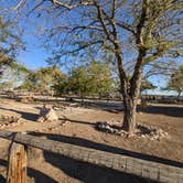 Review photo of Amargosa Valley Rest Area by Laura M., October 2, 2022