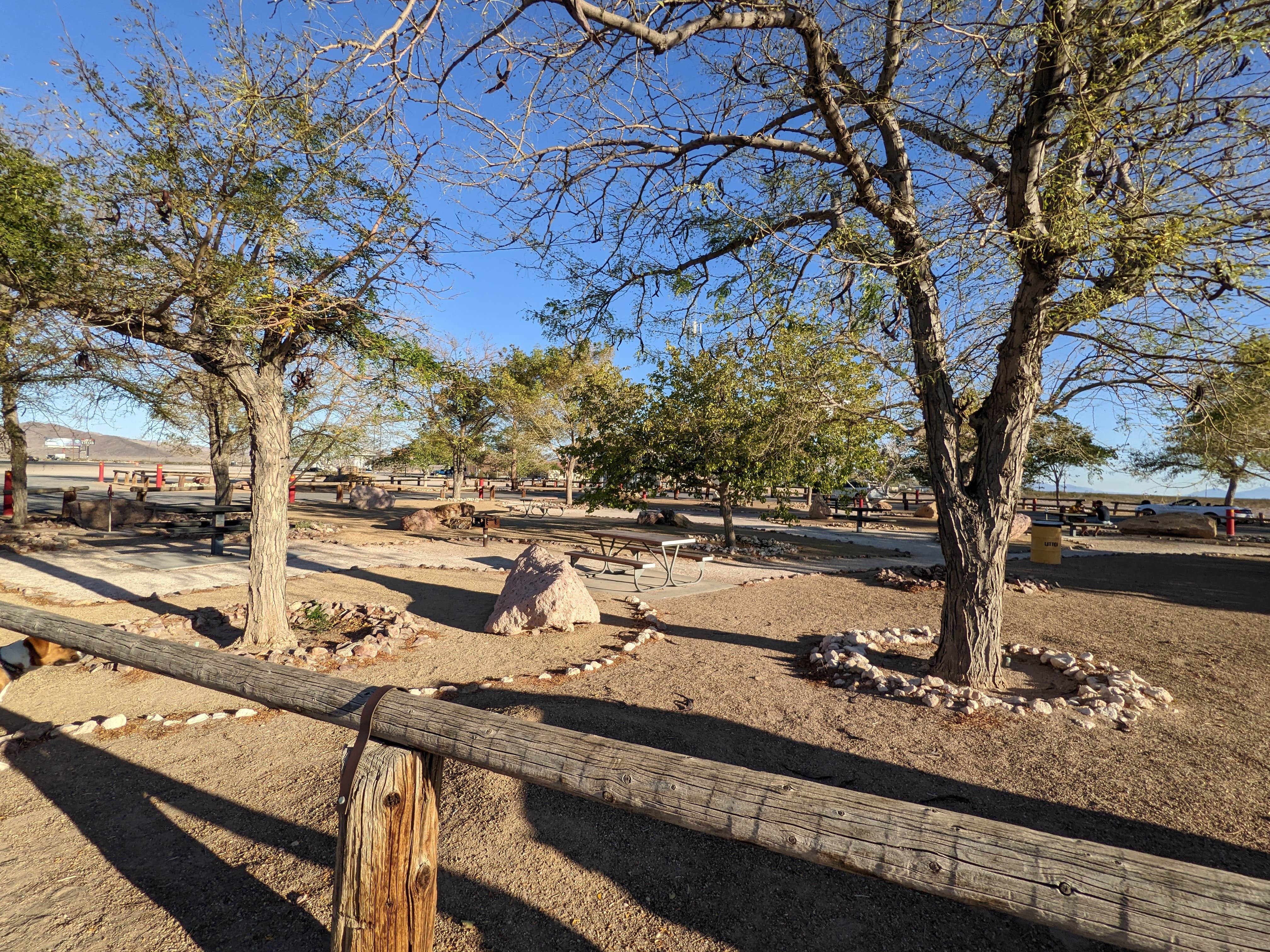 Camper submitted image from Amargosa Valley Rest Area - 1