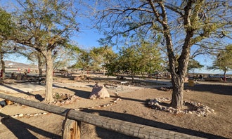 Camping near DeathValley Camp: Amargosa Valley Rest Area, Amargosa Valley, Nevada