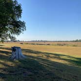 Review photo of St Marys Riverside Park by Frank H., October 2, 2022