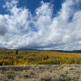 Review photo of Forest Service Road 217 Dispersed by Rebecca S., October 2, 2022