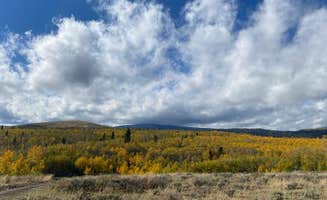 Rebecca S.'s photo of a dispersed camping area at Forest Service Road 217 Dispersed near Vernal, UT