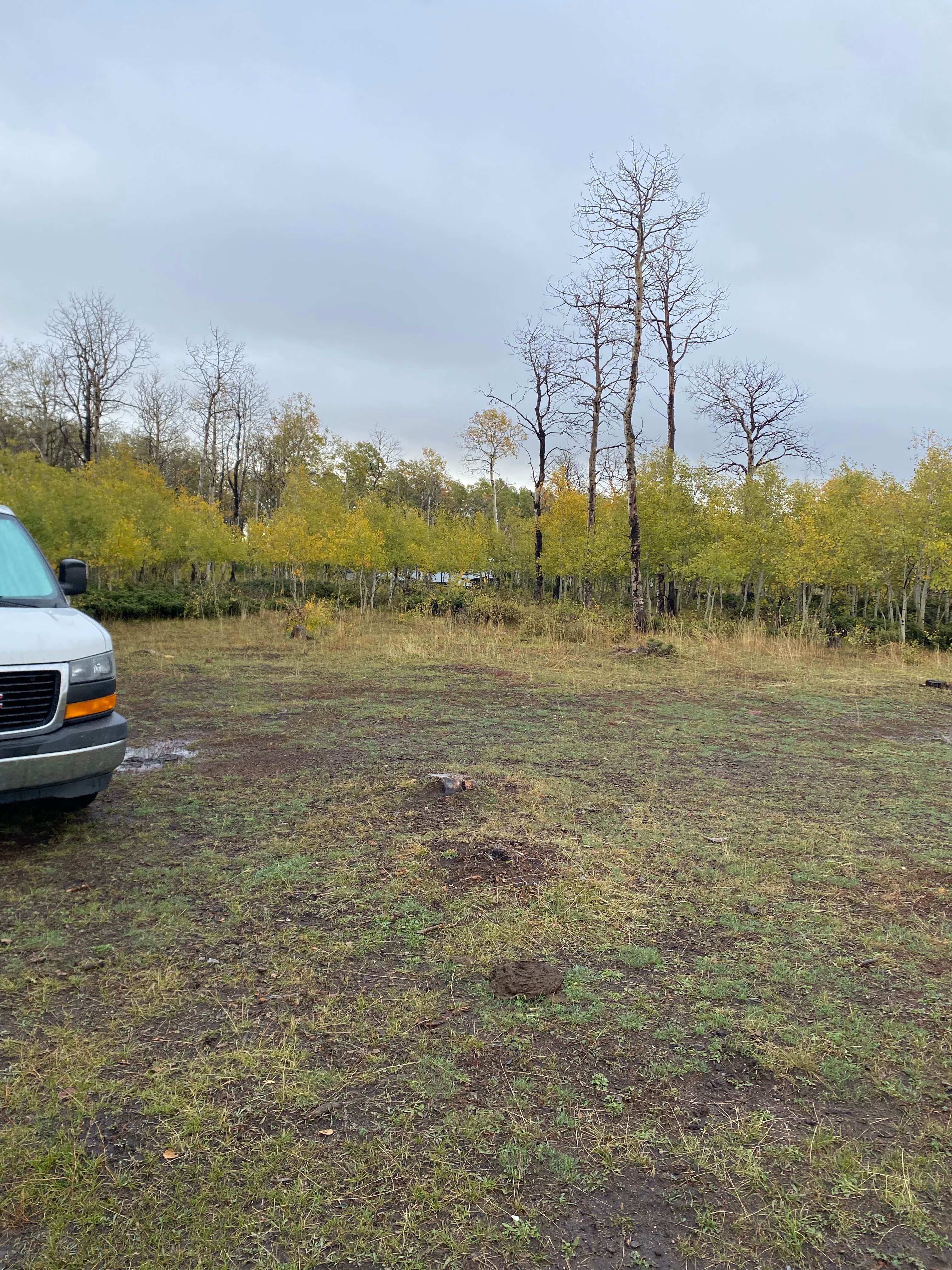 Camper-submitted photo at Forest Service Road 217 Dispersed near Roosevelt, UT