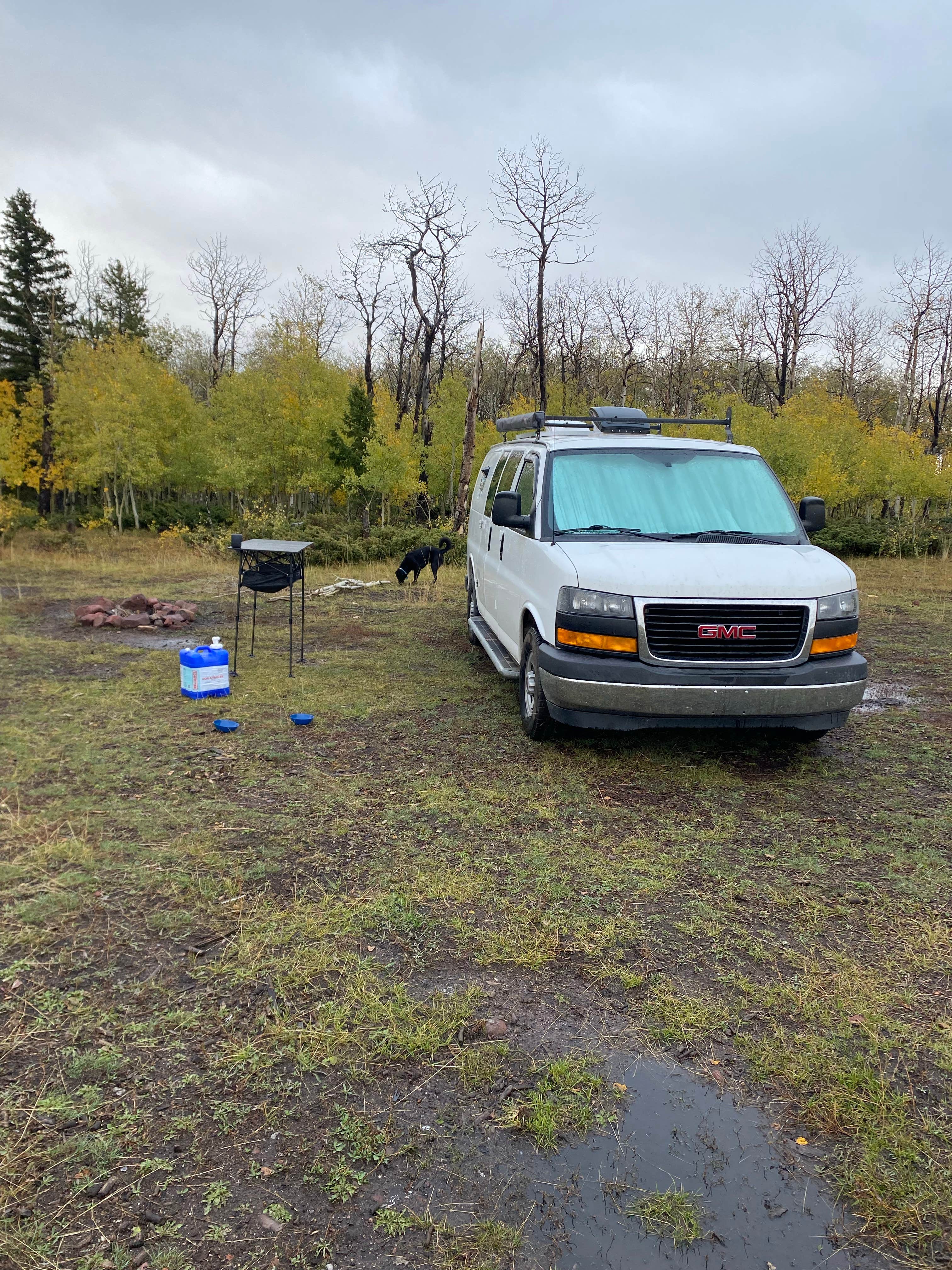 Camper-submitted photo at Forest Service Road 217 Dispersed near Roosevelt, UT