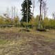 Forest Service Road 217 Dispersed