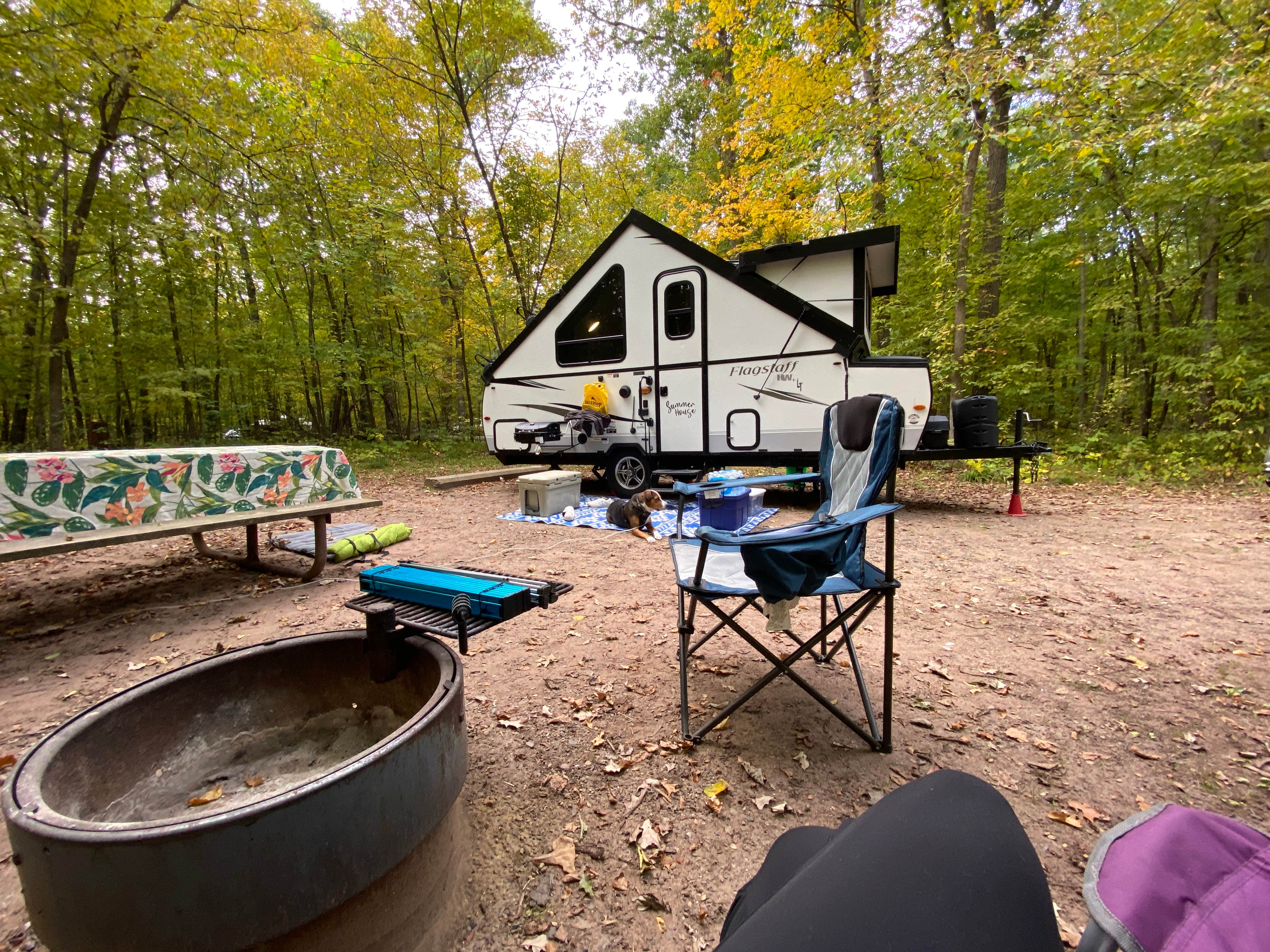 Lindsay T.'s photo at Wild River State Park Campground near Harris, MN