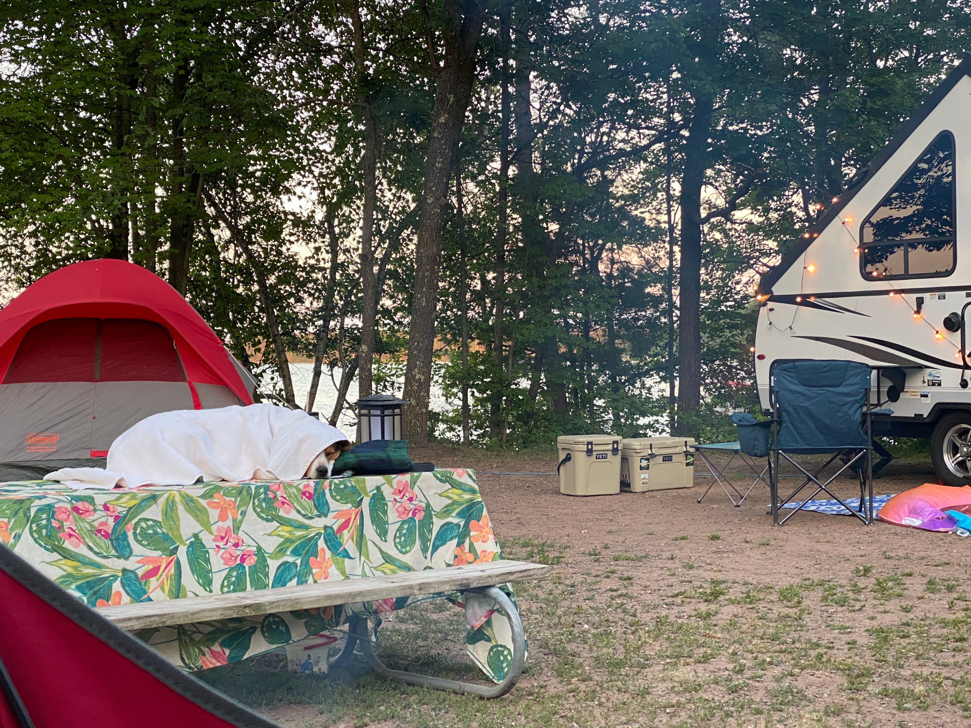 Camper submitted image from Lake Chippewa Campground - 1