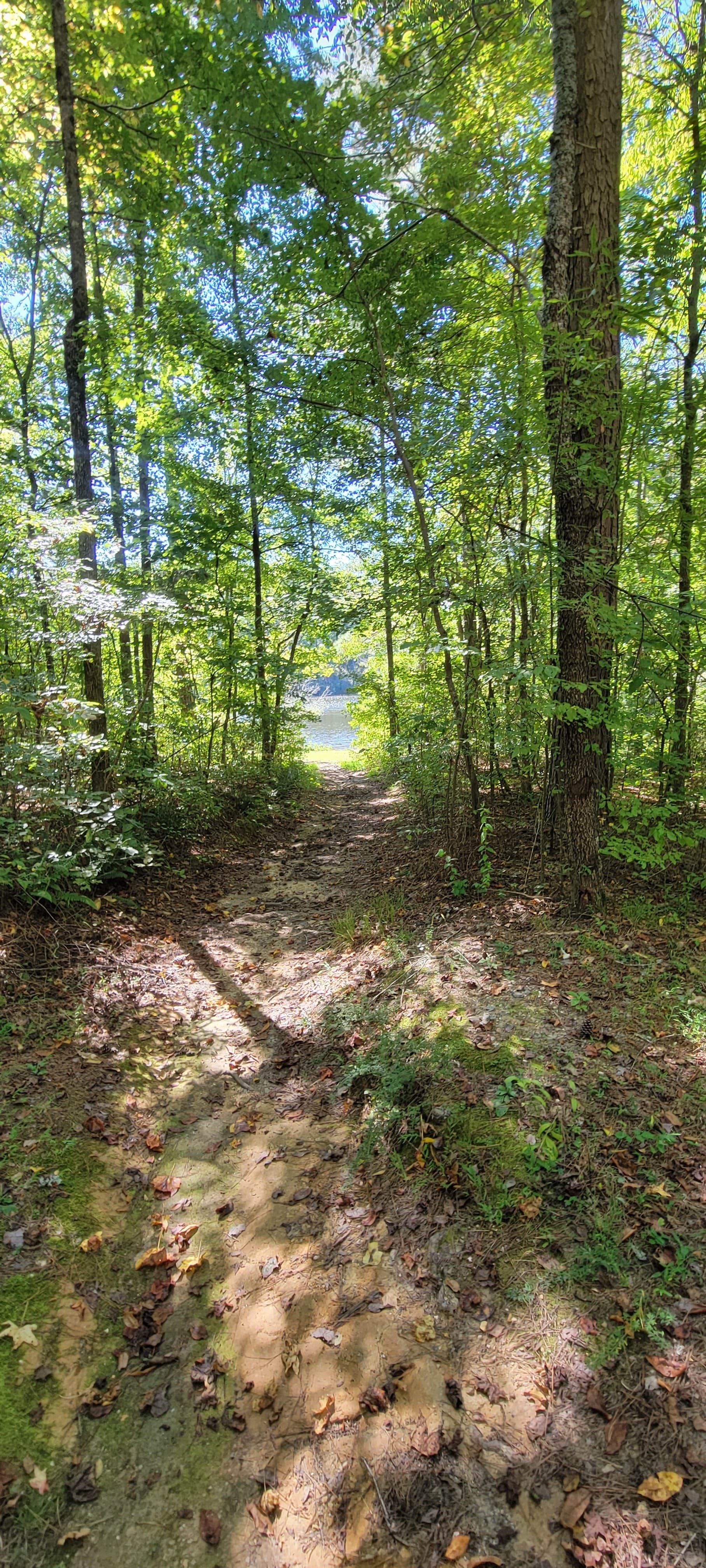 Camper submitted image from Coleman Lake Rec Area - 4