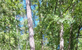 Camping near Michael Tucker Memorial Park & Chief Ladiga Trail: Coleman Lake Rec Area, Fruithurst, Alabama