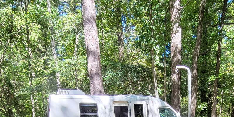 Camper submitted image from Coleman Lake Rec Area