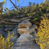 Review photo of Lost Maples State Natural Area by Laura F., October 2, 2022