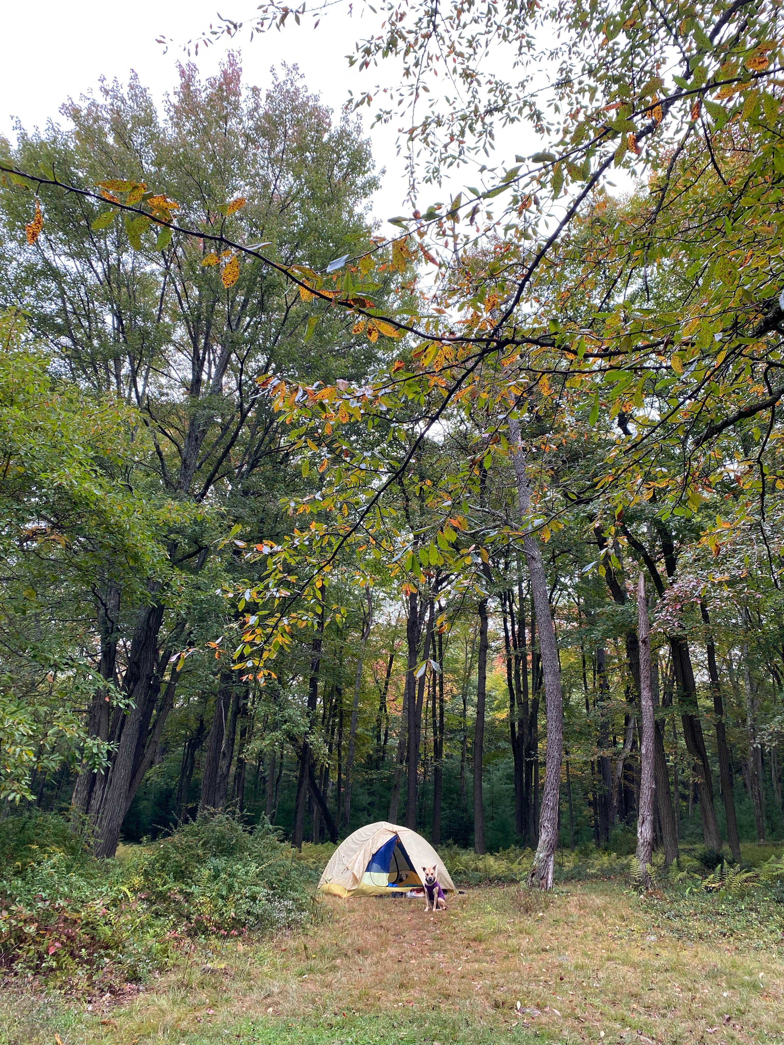 Lauren's photo at Hickory Run State Park Campground near White Haven, PA